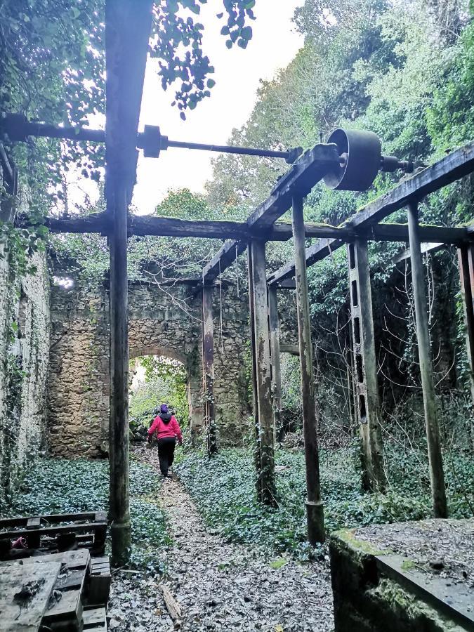 Appartamento Cave With Free Parking Pola Esterno foto